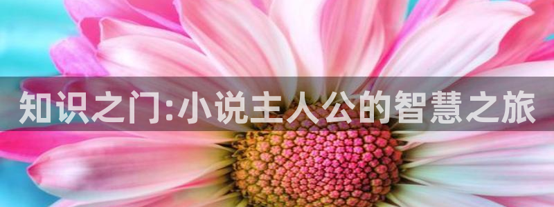 《将进酒》镇魂小说网：知识之门:小说主人公的智慧之旅