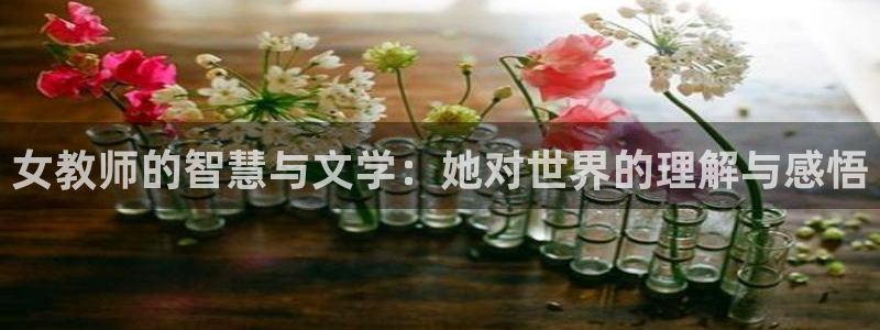镇魂小说看：女教师的智慧与文学：她对世界的理解与感悟